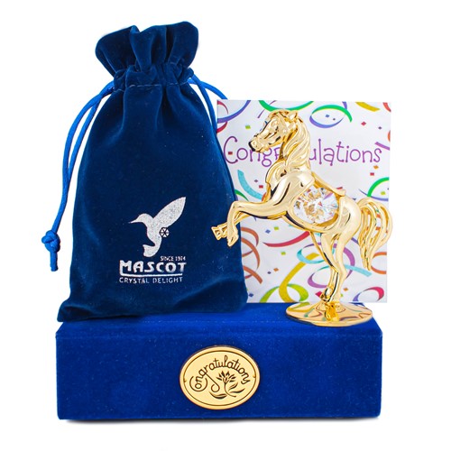 Graduation Gift Box w/ Gold Horse Ornament and Congratulations Card