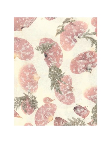 17" x 24" Handmade Thin XUAN( RICE) Flower Paper 70 GSM Dark Brown Color(1Sheet)